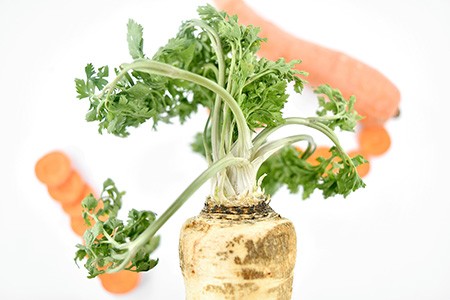 parsley roots