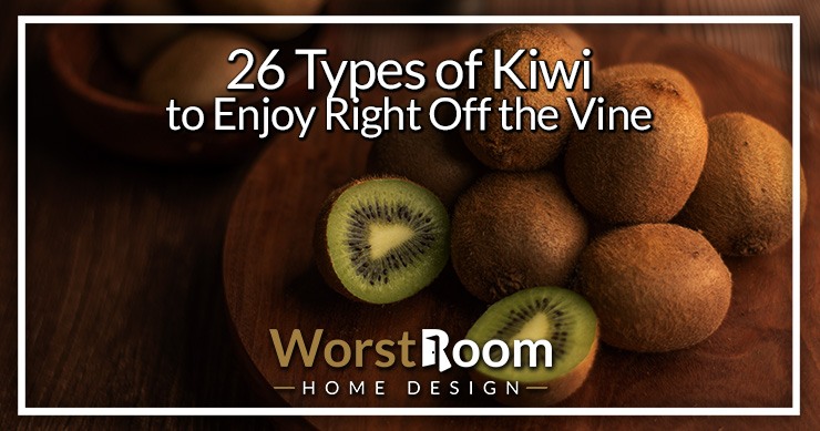 types of kiwi