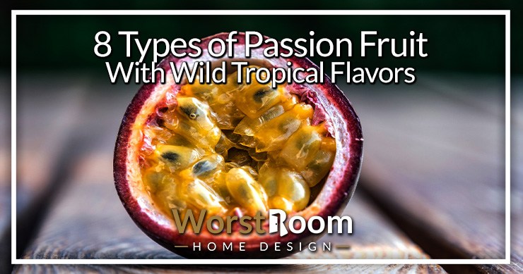types of passion fruit