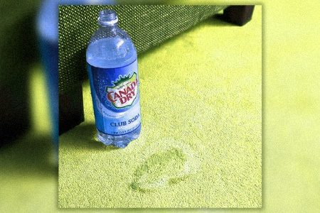 mustard stain removal from carpet can be possible with the use of club soda