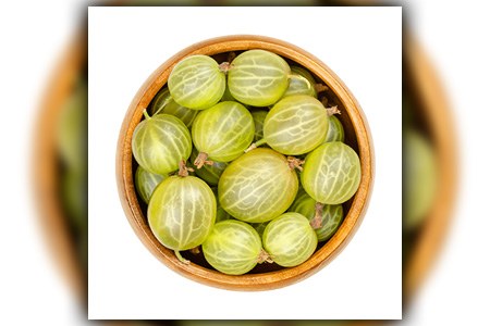 chinese gooseberry kiwi