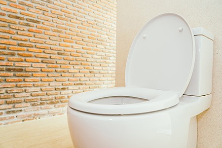 here are some faq's about plastic or wood toilet seat