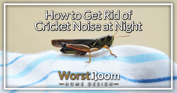 how to get rid of cricket noise at night