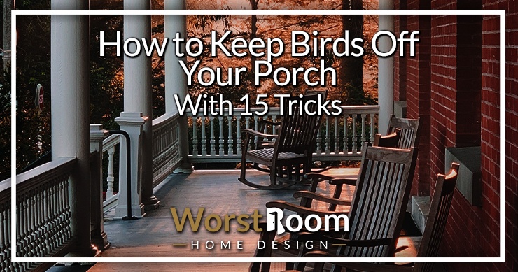 How to Keep Birds Off Your Porch With 15 Tricks - Worst Room