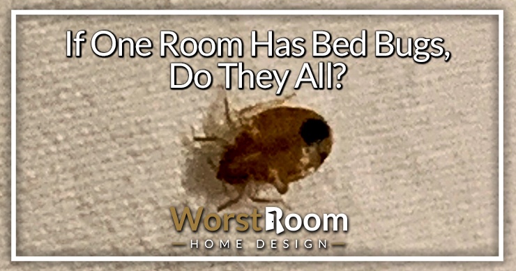 if one room has bed bugs do they all