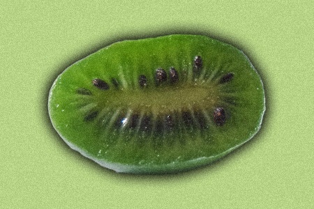 there are different kiwis, like michigan state kiwi that can reach up to 10-12 feet
