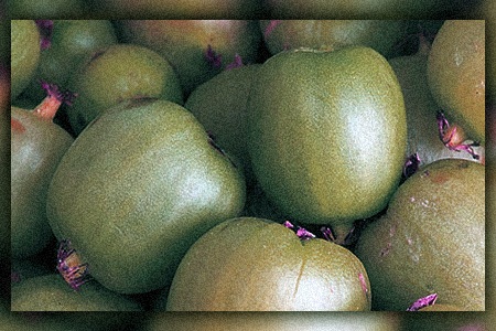 some types of kiwi, like ogden point kiwi, has grape like skin