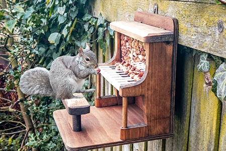 squirrel feeder on side of porch railing