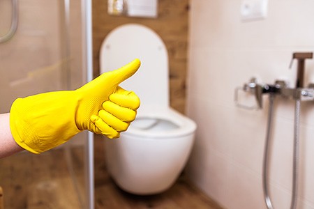 you can use a combination of baking soda & vinegar if your toilet fills up then slowly drains