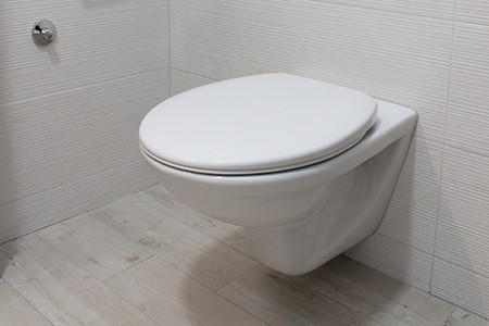 toilet weight can vary greatly among common toilet brands and models