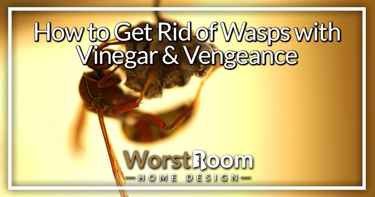 how to get rid of wasps with vinegar