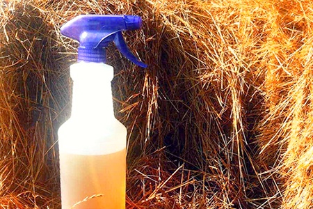 does vinegar kill wasps? you can use wasp spray to repel them with apple cider and white vinegar