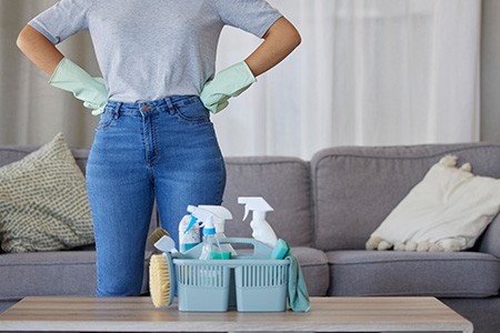 you can use homemade cleaning solutions as sofa deodorizer