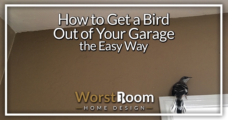 how to get a bird out of your garage