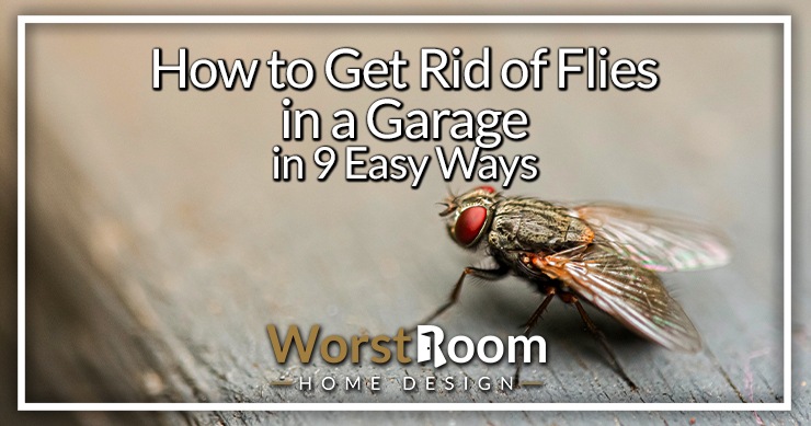 how to get rid of flies in your garage