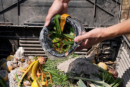 what to do with grass clippings after mowing? you can leave them out for curbside composting