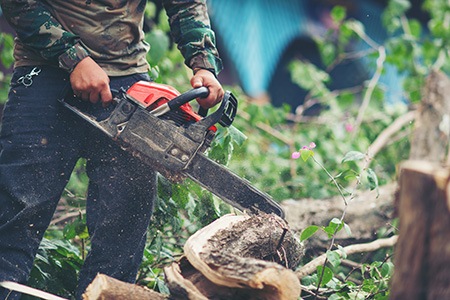 how to hollow out a tree stump with a chainsaw