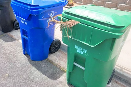 municipal green waste container for grass clippings