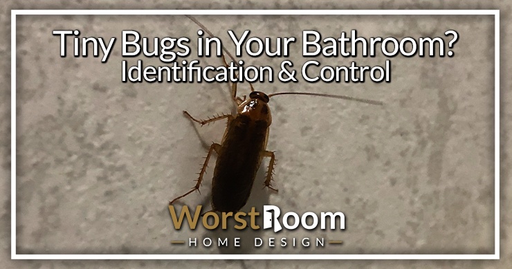 tiny bugs in your bathroom