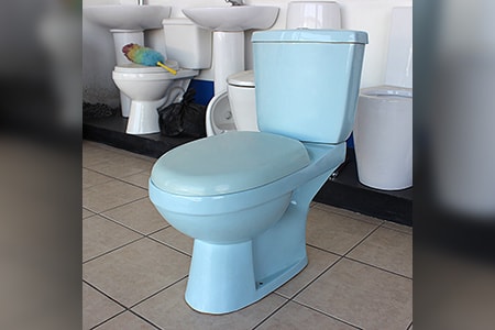 blue toilet