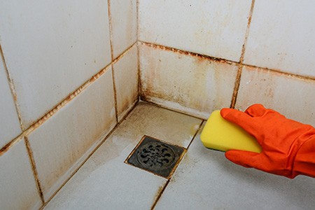 can you use bleach on tile and grout to kill black mold on tiles? will bleach damage ceramic tile?