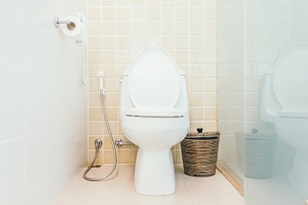 we have answered can you flush the toilet when the power is out? and here are faqs using the toilet when the power is out