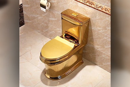 gold colored toilet