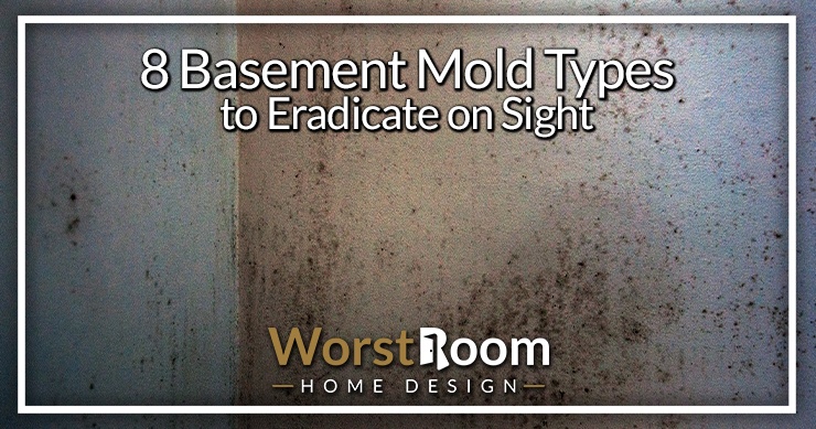basement mold types