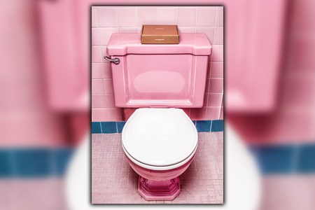 can a toilet be painted? of course, follow the steps above and clean up your toilet!