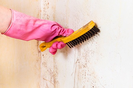 mold in an unfinished basement? here  is how do homeowners stop mold spreading from the basement.