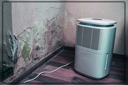 can a damp basement affect the upstairs area? the answer is yes and here you can learn what is the best way to dry a humid, wet, moldy basement.