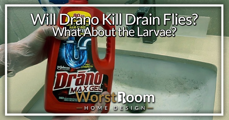 will drano kill drain flies