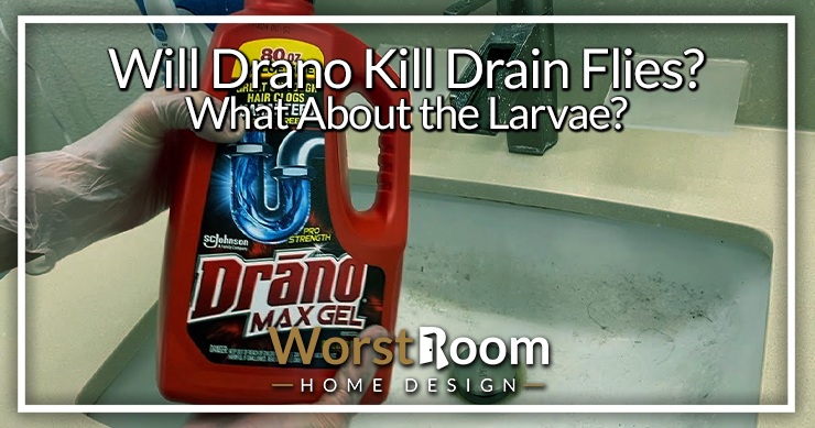 Will Drano Kill Drain Flies 