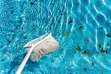 what to put in a pool after filling it? if you are observing lots of debris, you can skim them before diving into the water!