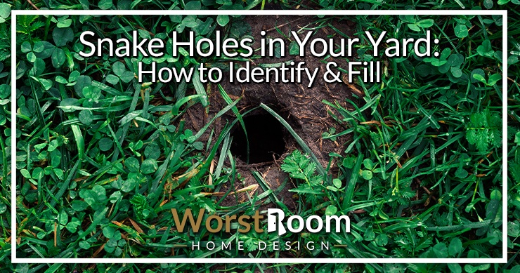 snake holes in your yard
