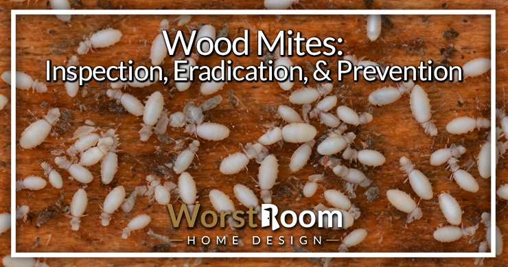 wood mites