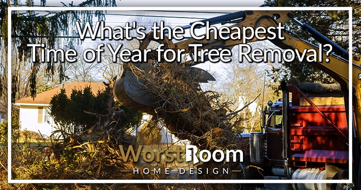 cheapest time of year for tree removal