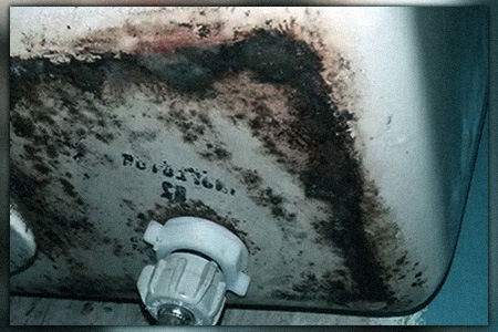 you are observing black stuff in the toilet tank after flushing? here are the reasons for black mold behind toilet tank