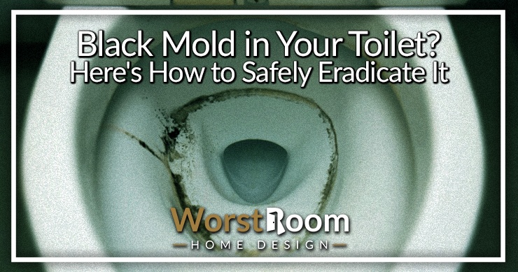 black mold in your toilet
