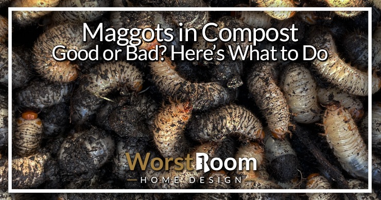 maggots in compost