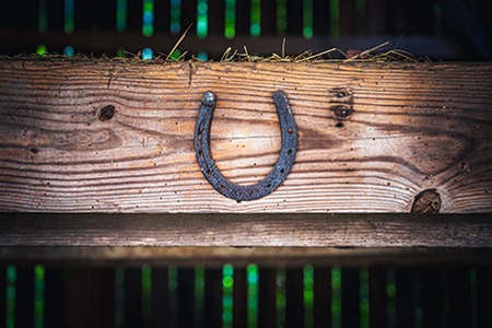 before considering where to hang a horseshoe in your house here are the ways for preparing the horseshoe for hanging