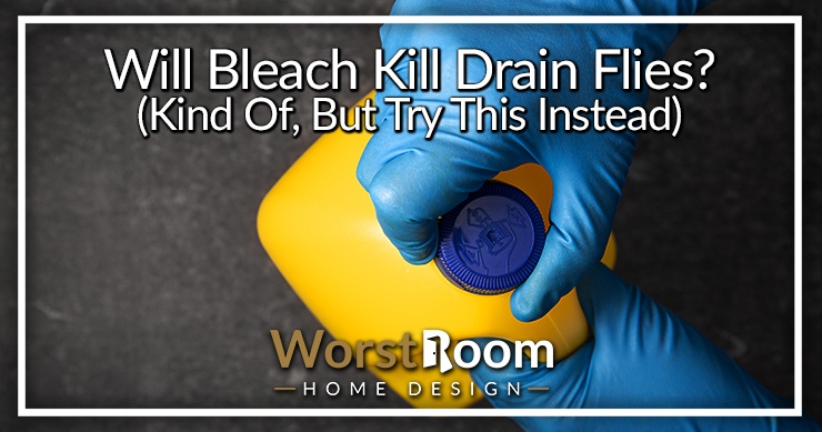 will bleach kill drain flies