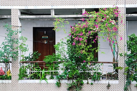 apartment balcony garden with mulch