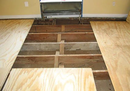 stable subfloor